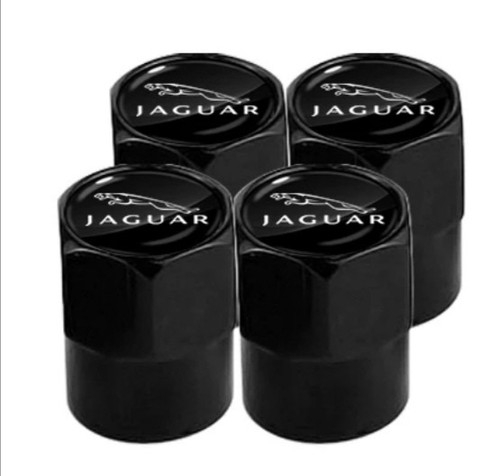 Tappi antipolvere jag - antipolvere, x4