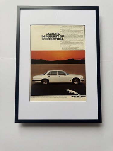 Framed 1981 jaguar - framed, h.e